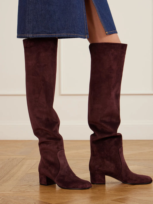 Gianvito Rossi 45 Suede Over-the-knee Boots