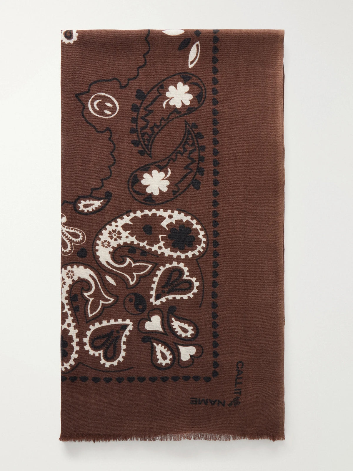 CALL IT BY YOUR NAME Étole Paisley Frayed Printed Wool And Silk-blend Twill Scarf
