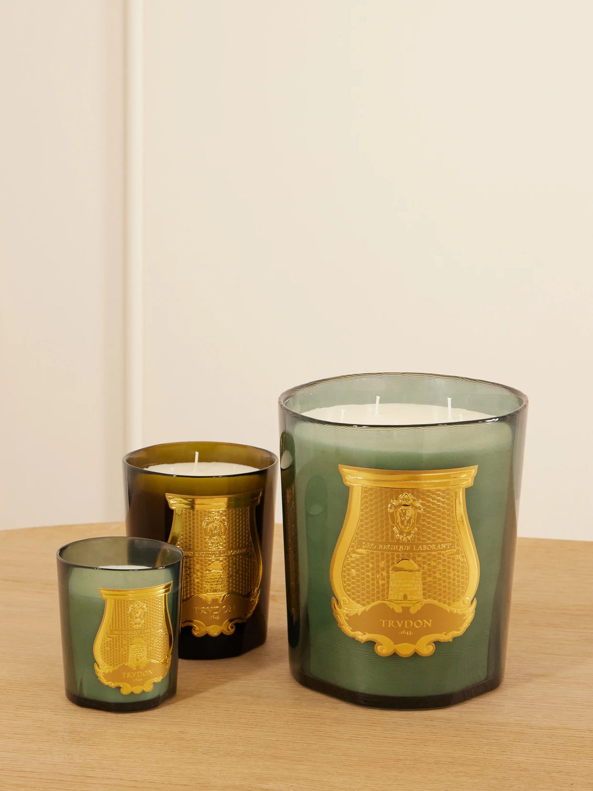 Image of Perfumes & Colognes. Product name - Figuerie Scented Candle, 2.8kg in Forest green colour by brand - TRUDON