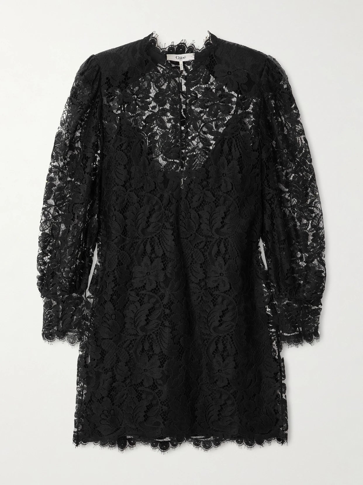 Floral Cotton-blend Lace Mini Dress