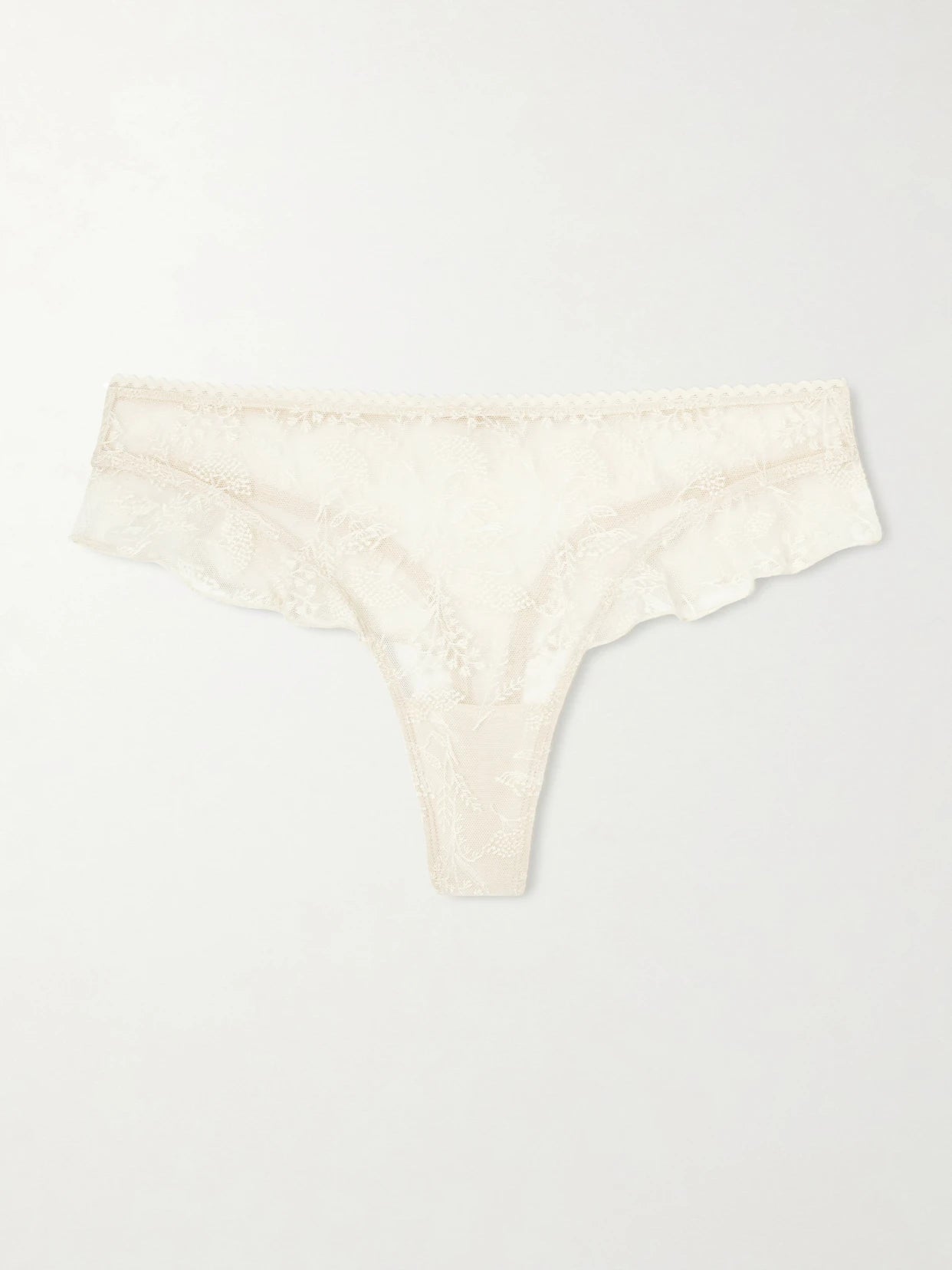 Seigle Embroidered Mesh Briefs