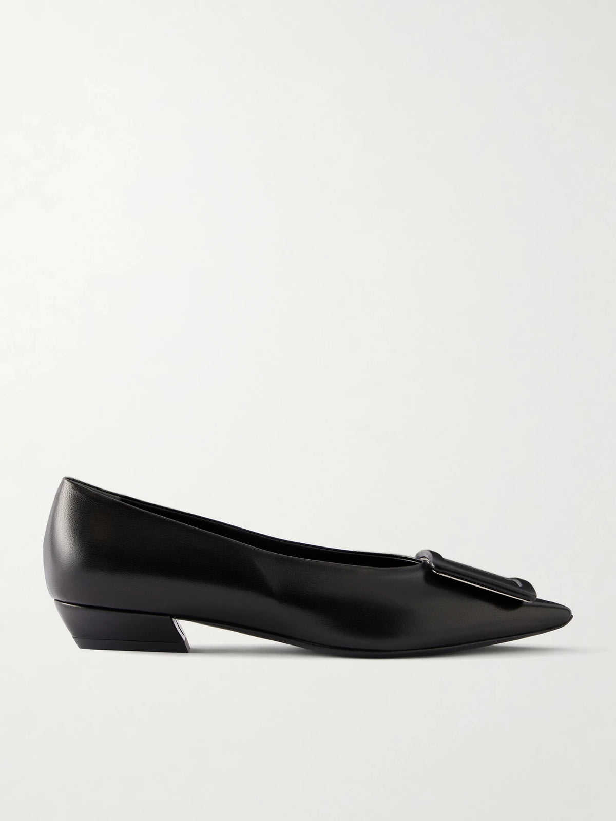 Pointy Covered Ballerina 25 Leather Ballet Flats