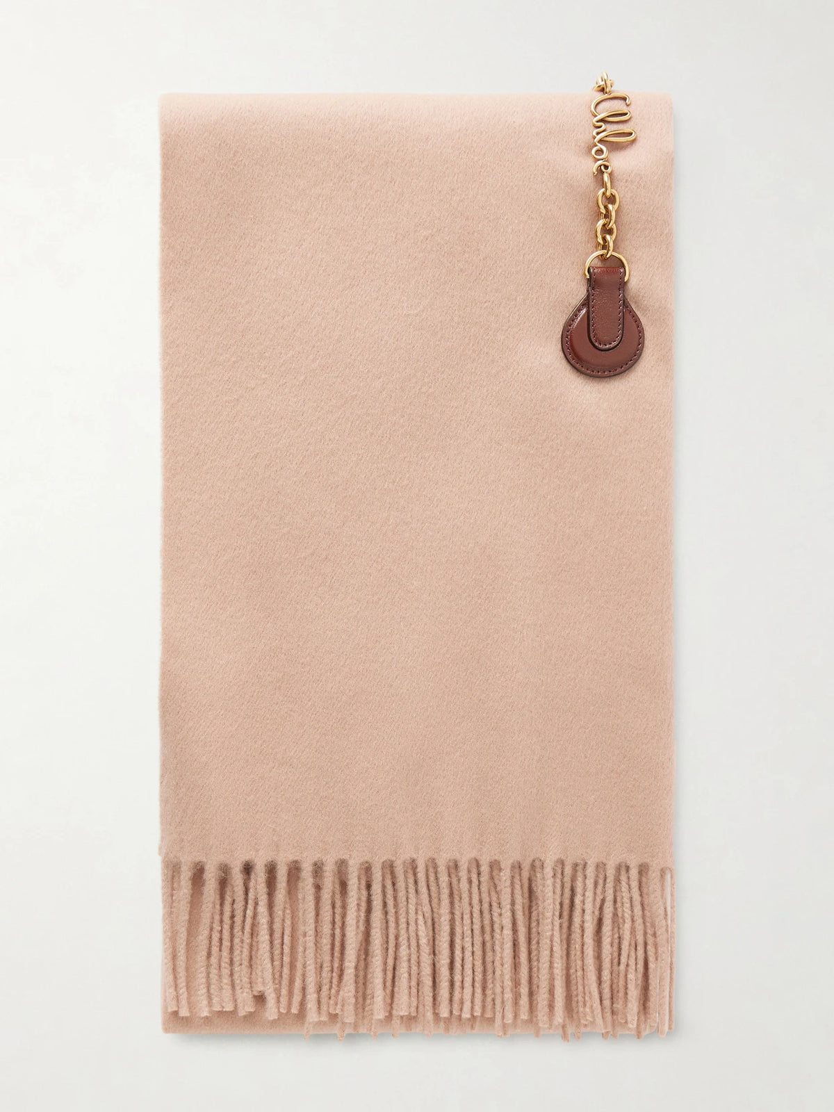 Fringed Embellished Leather-trimmed Wool Scarf