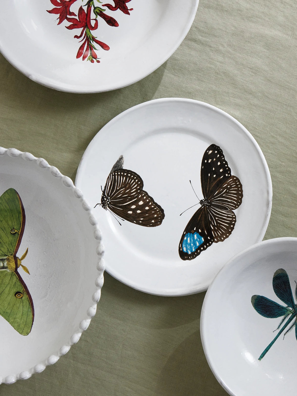 Image of Tableware. Product name - + John Derian Printed Ceramic Plate in White colour by brand - Astier De Villatte