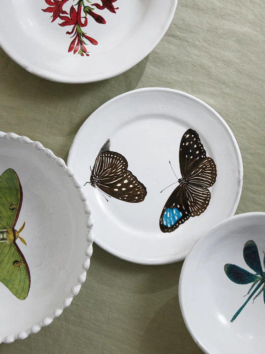 Image of Tableware. Product name - + John Derian Printed Ceramic Plate in White colour by brand - Astier De Villatte