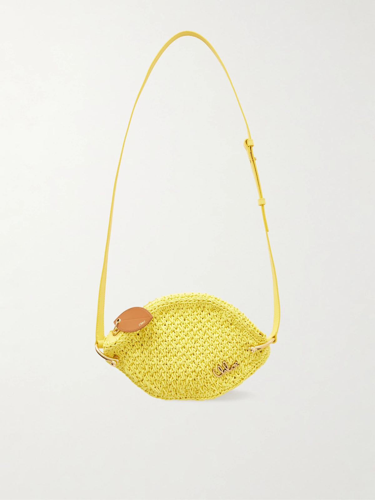 Tropicus Embellished Leather-trimmed Woven Shoulder Bag