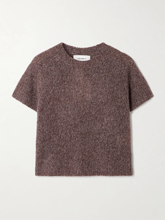 Image of a model wearing Outerwear. Product name - Siona Cashmere And Silk-blend T-shirt in Brown colour by brand - LISA YANG