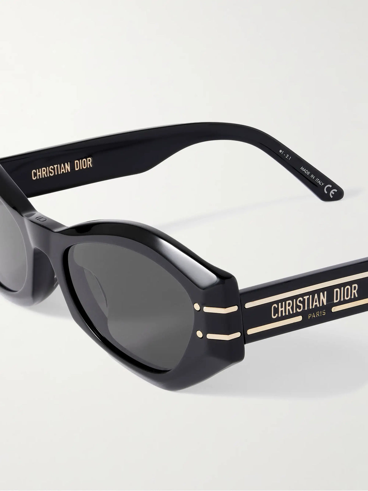 Diorsignature B1u Cat-eye Acetate Sunglasses