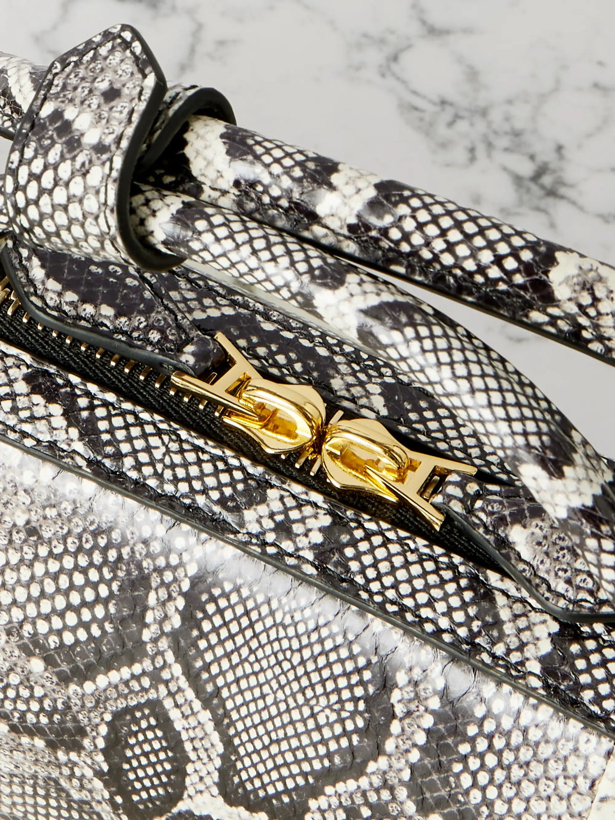Le Teckel Watersnake Clutch