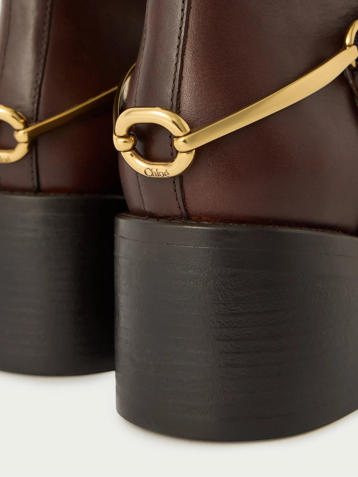 Dakota Embellished Leather Ankle Boots