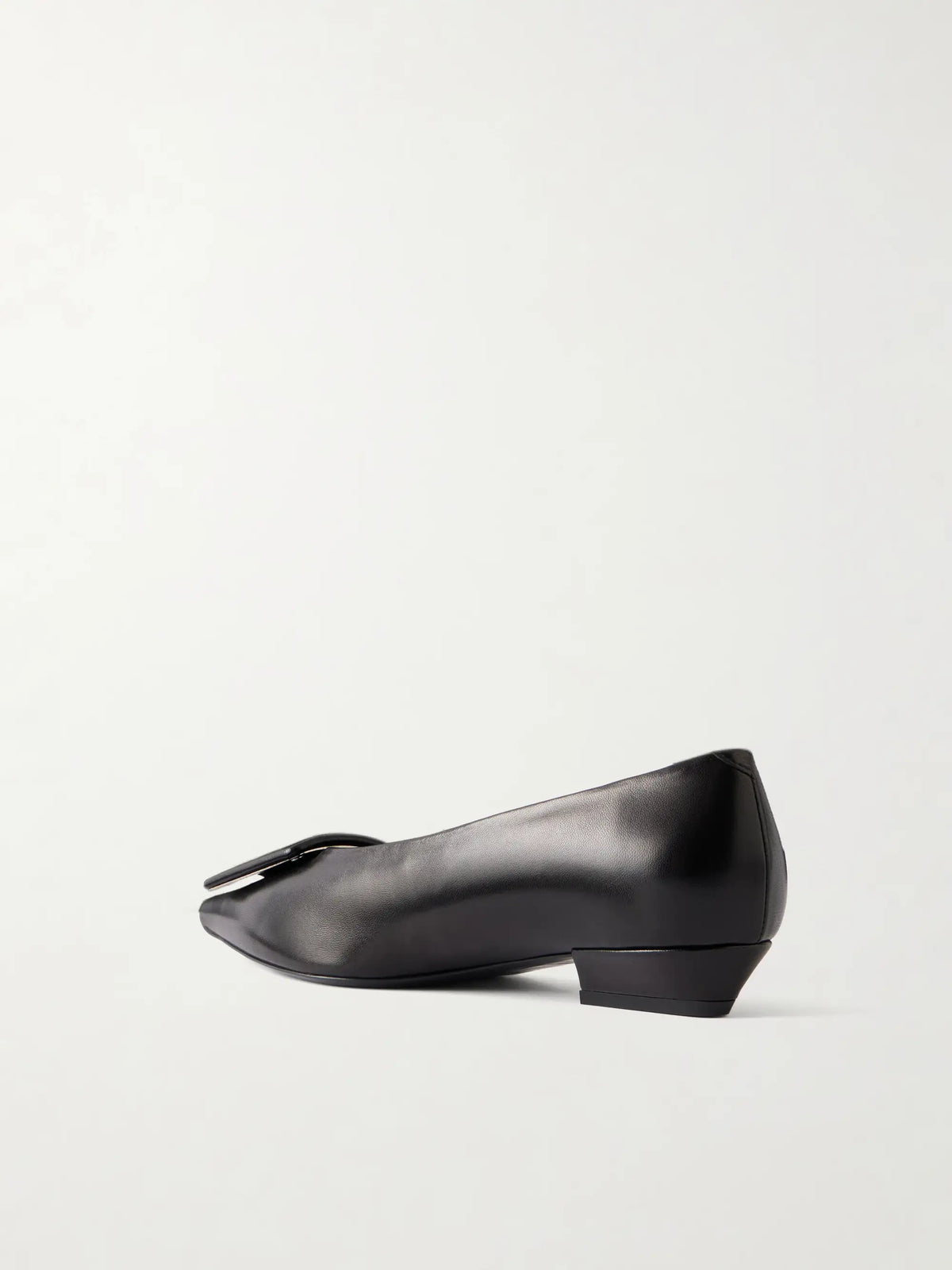 Pointy Covered Ballerina 25 Leather Ballet Flats