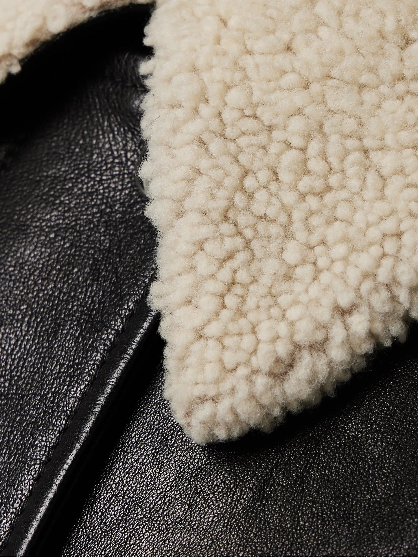 Shellar Shearling-trimmed Leather Jacket