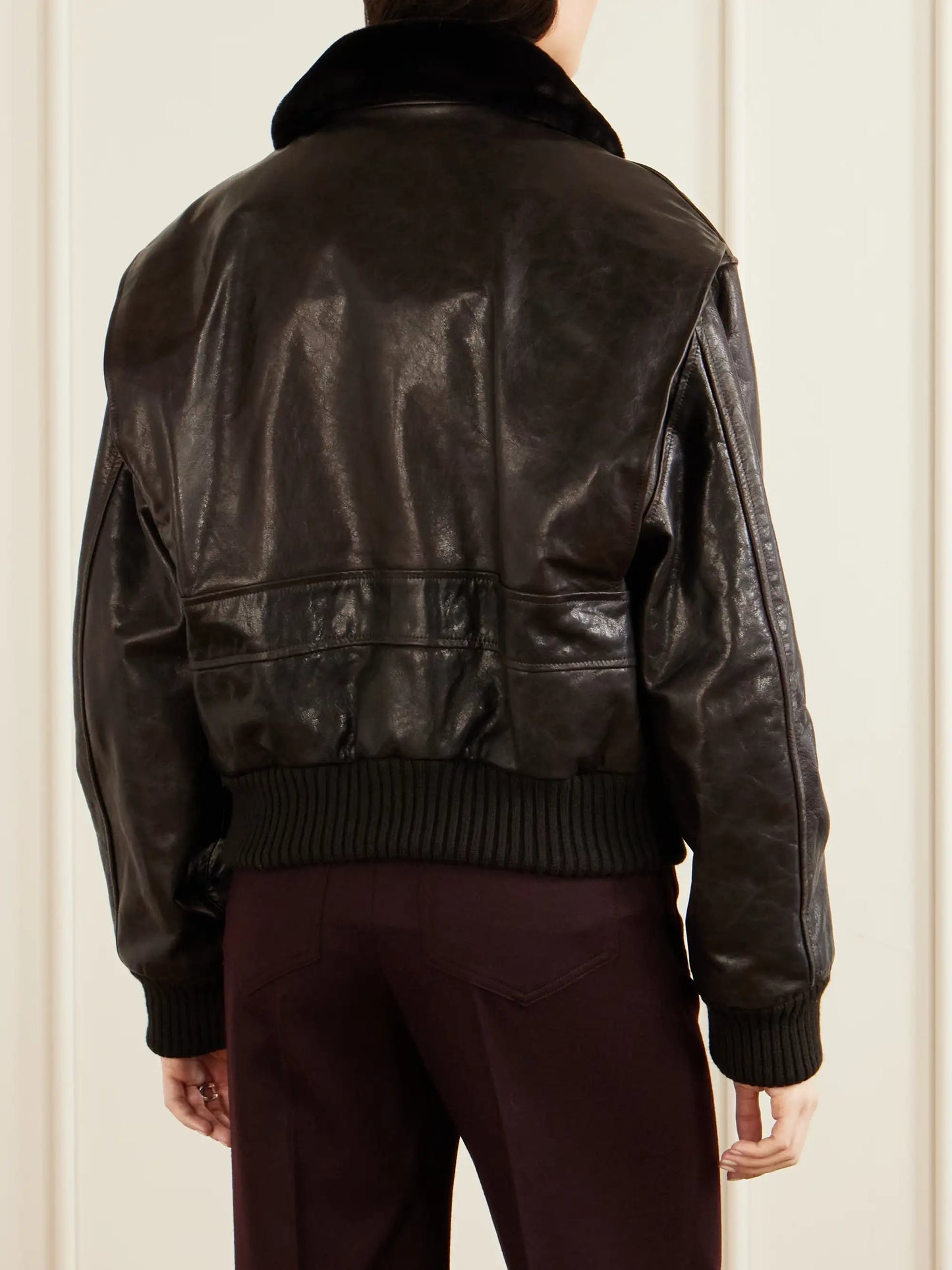 Aviator Shearling-trimmed Leather Jacket
