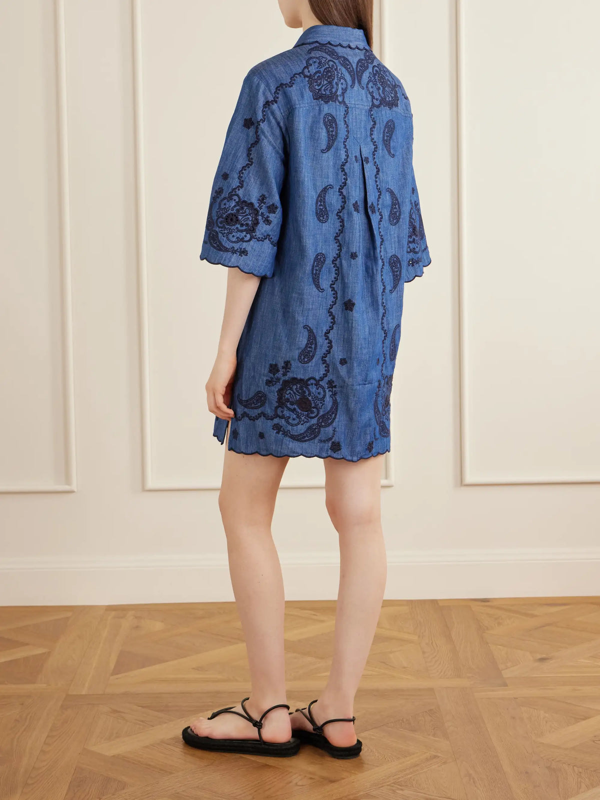 Zimmermann Aster Broderie Anglaise-trimmed Cotton-denim Mini Dress