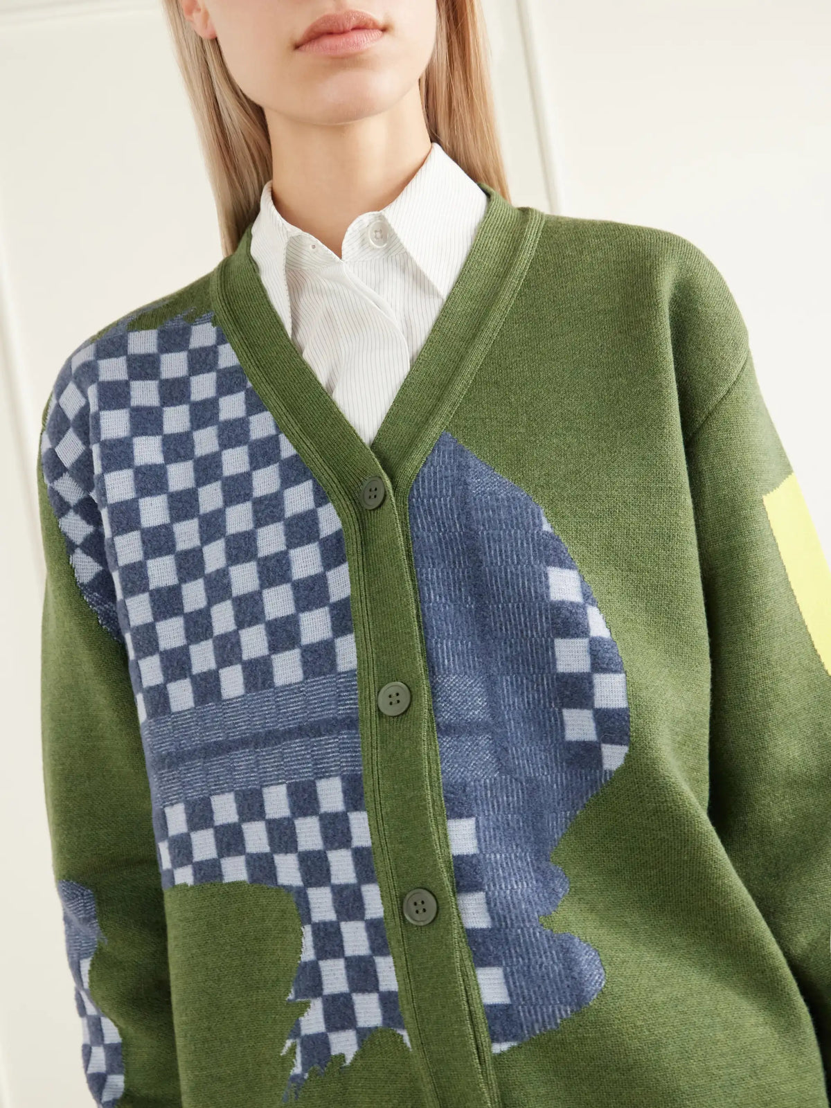 LOEWE + Cosima Von Bonin Intarsia-knit Wool-blend Cardigan